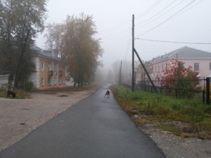 Туман. Дорога к шахматному клубу